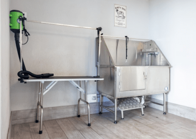 A professional dog grooming station featuring a stainless steel bathtub and an adjacent grooming table with a restraint loop, set against a clean, neutral-colored wall.