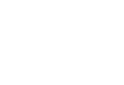 Trion Logo Image
